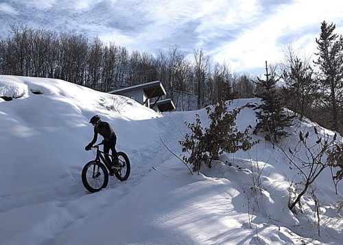 A person rides a fat bike through snowy terrain near a wooded area and a cabin under a blue sky.