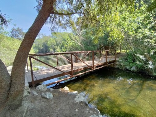 A rustic wooden bridge with metal railings spans a calm stream, surrounded by lush greenery and trees.