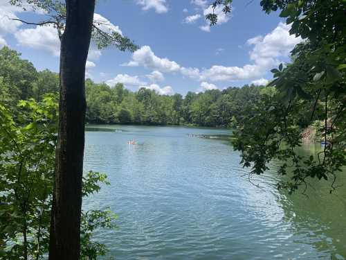 A serene lake surrounded by lush green trees under a blue sky with fluffy clouds.