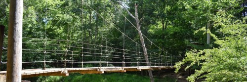 A wooden suspension bridge spans a lush green forest, surrounded by trees and foliage.