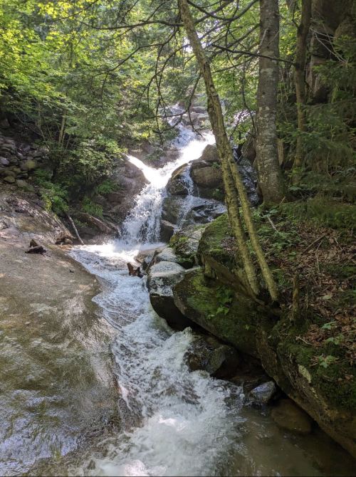 A serene waterfall cascading over rocks, surrounded by lush green trees and foliage.
