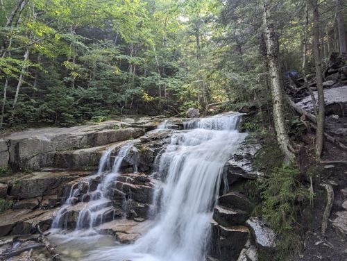 A serene waterfall cascades over rocky terrain, surrounded by lush green trees in a tranquil forest setting.