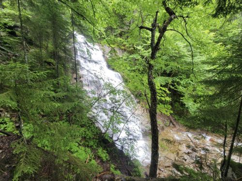 A serene waterfall cascades through lush green trees in a forested landscape.