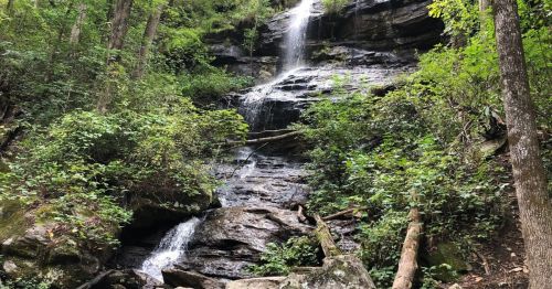 A serene waterfall cascading down rocky terrain, surrounded by lush green foliage and trees.
