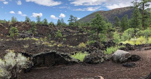 A rocky landscape with black lava formations, scattered greenery, and distant mountains under a partly cloudy sky.