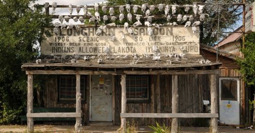 A weathered building with a sign reading "Longhorn Saloon," adorned with animal skulls and surrounded by trees.