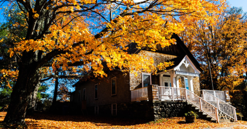 A charming house surrounded by vibrant autumn foliage and a carpet of fallen leaves.