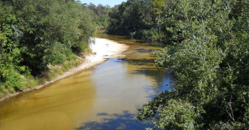 A serene river flows through a lush green landscape, with sandy banks and trees lining the water's edge.