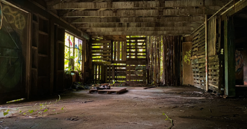 An abandoned, overgrown interior of a rustic building with wooden walls and scattered debris on the floor.