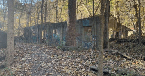 Abandoned concrete structure in a wooded area, surrounded by autumn leaves and trees.