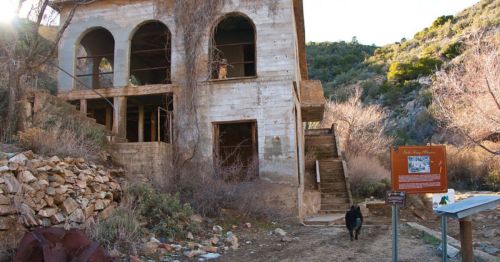 Abandoned building with arched windows, surrounded by rocks and vegetation, with a sign and a dog in the foreground.