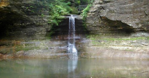 A serene waterfall cascading over rocky cliffs into a calm pool surrounded by lush greenery.