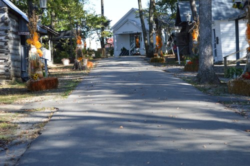 A tree-lined path with straw decorations and autumn accents leading to a white building in the distance.