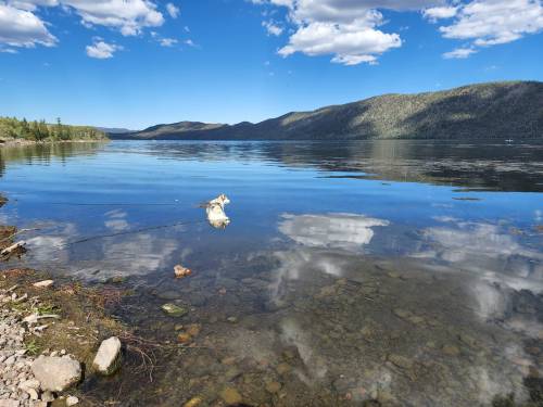 A serene lake scene with clear water reflecting clouds and mountains, surrounded by trees and rocky shoreline.