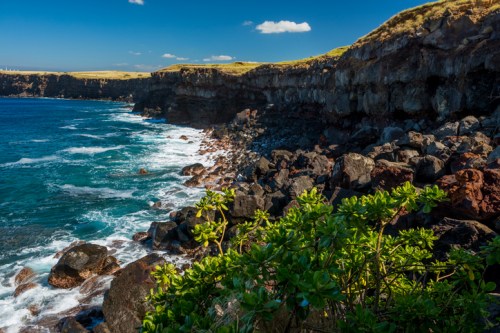 Rocky coastline with waves crashing against the shore, under a clear blue sky and lush greenery in the foreground.