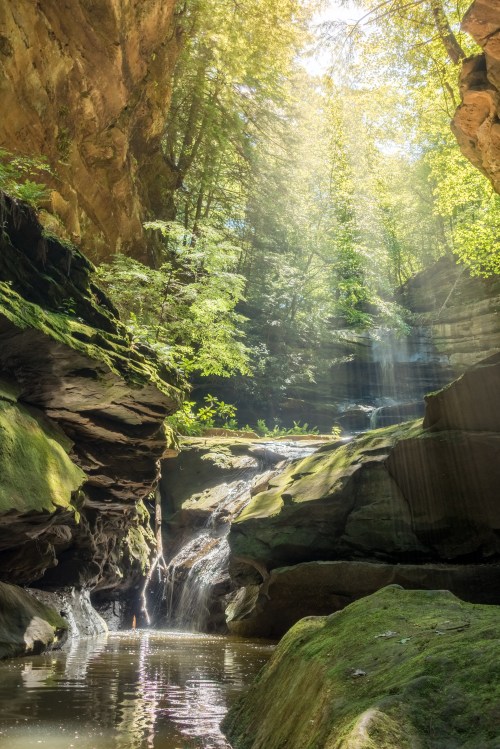 A serene canyon with lush greenery, a gentle waterfall, and sunlight streaming through the trees, reflecting on the water.