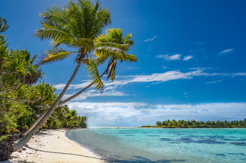 A serene beach scene with palm trees, clear turquoise water, and a blue sky dotted with clouds.