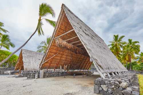 Two traditional thatched-roof structures surrounded by palm trees on a sandy area under a cloudy sky.