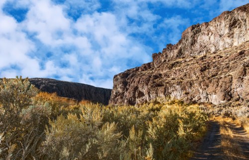 A rocky landscape with golden shrubs and a blue sky dotted with clouds. A dirt path winds through the scene.
