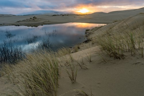 A serene landscape featuring a pond reflecting the sunset, surrounded by sandy dunes and tall grasses.