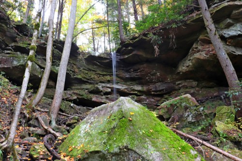 A serene forest scene featuring a waterfall cascading over rocky cliffs, surrounded by trees and moss-covered boulders.
