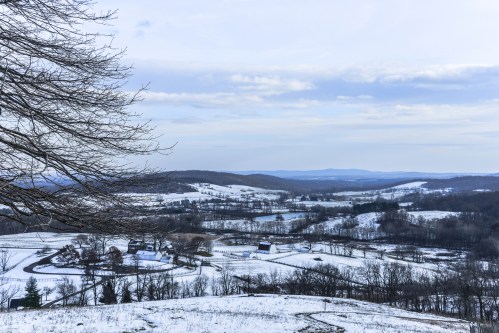 A snowy landscape with rolling hills, bare trees, and a distant view of a lake under a cloudy sky.