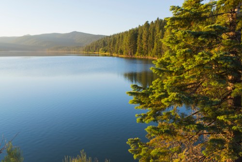 A serene lake surrounded by lush green trees and mountains under a clear blue sky.