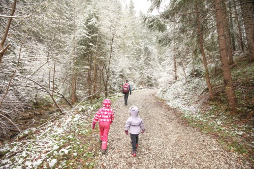 A family walks along a snowy forest path, surrounded by trees and a winter landscape.