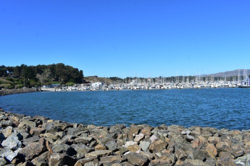 A serene marina with numerous boats docked, surrounded by rocky shores and clear blue skies.