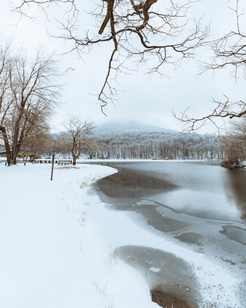 A serene winter landscape featuring a snowy shoreline, bare trees, and a calm, partially frozen lake.