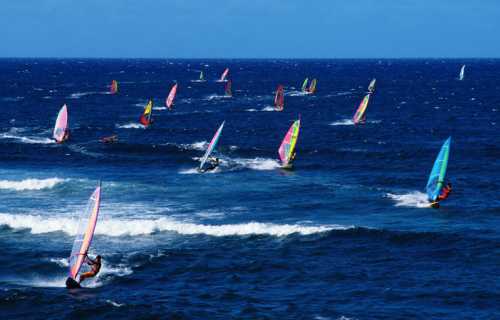 A vibrant scene of windsurfers navigating waves in a blue ocean under a clear sky.