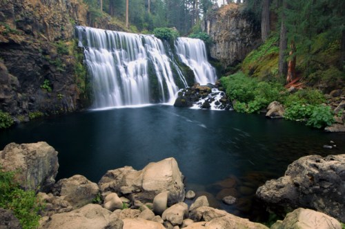 A serene waterfall cascades over rocks into a calm pool, surrounded by lush greenery and tall trees.