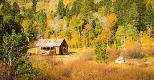 A rustic wooden cabin surrounded by vibrant autumn foliage and tall trees in a serene landscape.