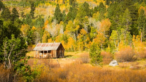 A rustic wooden cabin surrounded by vibrant autumn foliage and tall trees in a serene landscape.