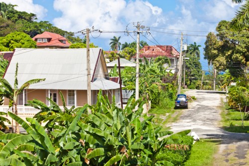 A scenic view of a tropical street lined with houses, power lines, and lush greenery under a blue sky.