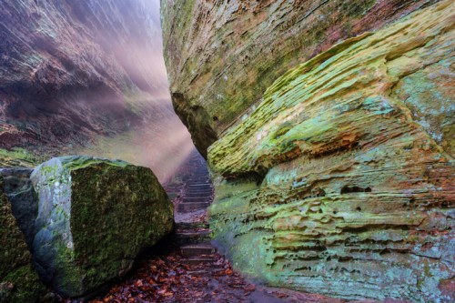 A narrow pathway between towering rock formations, with light streaming through, highlighting colorful moss and textures.