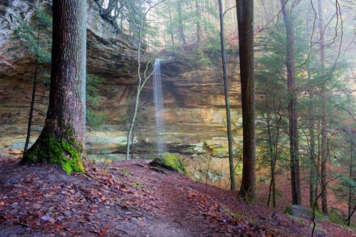 A serene forest scene with a waterfall cascading down a rocky cliff, surrounded by tall trees and mist.