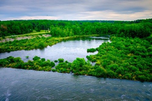 A serene river winding through lush green vegetation under a cloudy sky.
