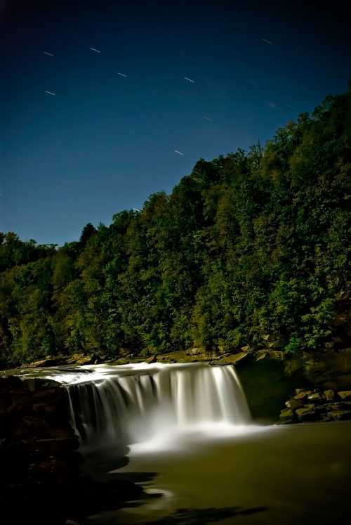 A serene waterfall cascades over rocks, surrounded by lush greenery under a starry night sky.