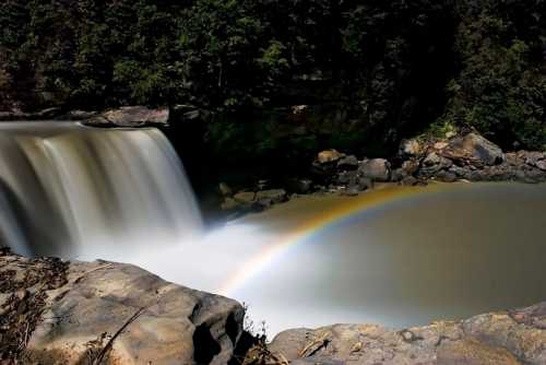 A serene waterfall cascades into a pool, with a vibrant rainbow arching over the water. Lush greenery surrounds the scene.