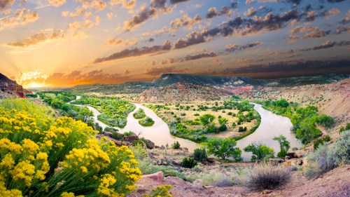 A vibrant landscape featuring winding rivers, lush greenery, and colorful wildflowers under a dramatic sunset sky.