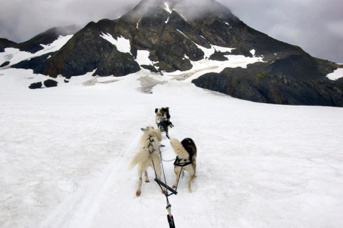 Two sled dogs pull a sled across a snowy landscape with a mountainous backdrop under a cloudy sky.
