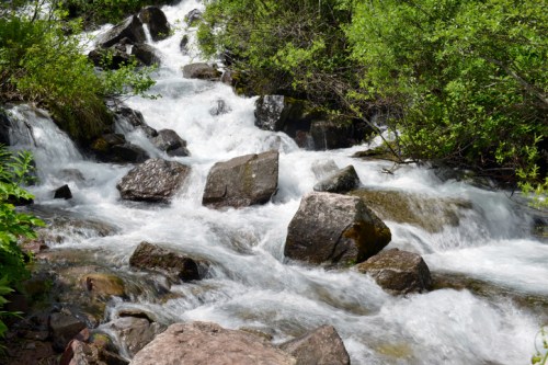 A flowing stream cascades over rocks, surrounded by lush green foliage.