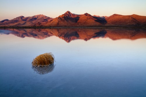 A solitary tumbleweed floats on a calm lake, reflecting mountains at sunset.