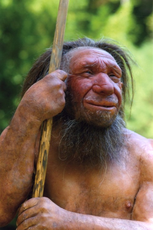 A Neanderthal man with long hair and a beard, holding a wooden spear, set against a natural green background.