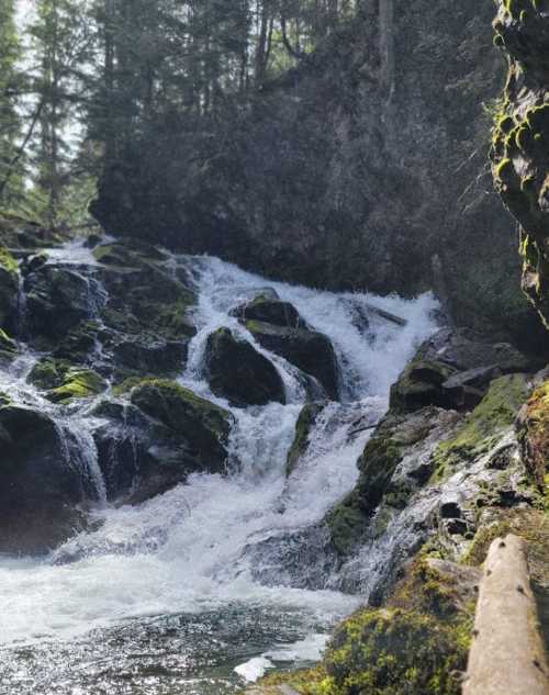 A cascading waterfall flows over moss-covered rocks in a lush, green forest. Sunlight filters through the trees.