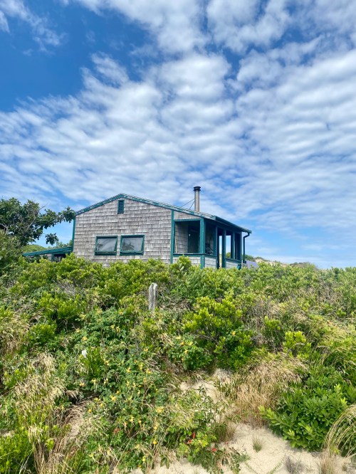 A cozy beach house surrounded by greenery under a blue sky with fluffy clouds.