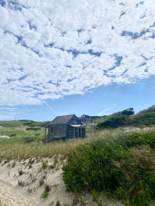 A small, rustic cabin surrounded by tall grass under a cloudy blue sky at the beach.