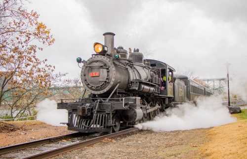 A vintage steam locomotive chugs along the tracks, releasing steam against a cloudy sky.