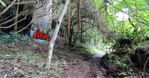 A narrow path winds through dense greenery, with graffiti on a concrete pillar visible among the trees.